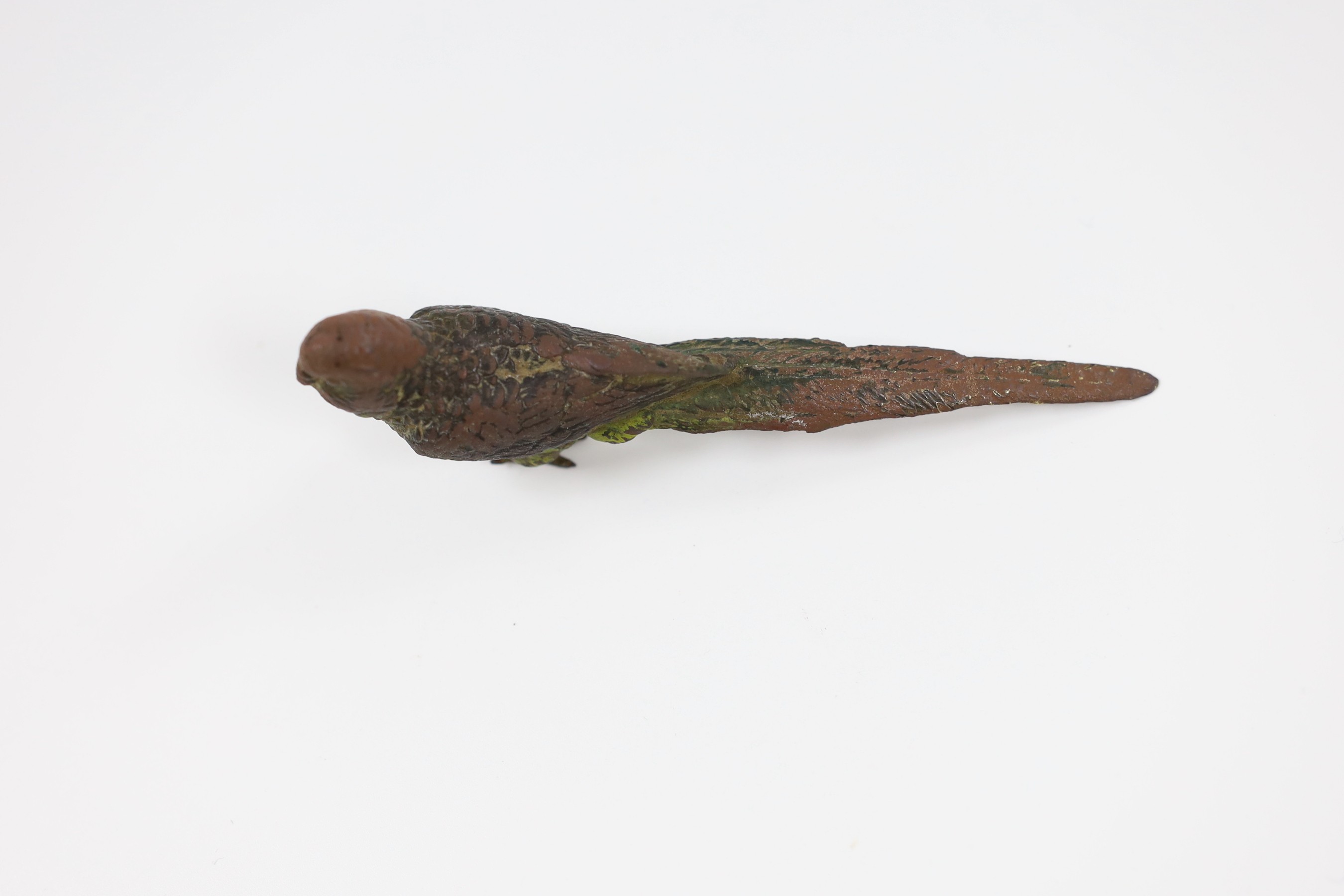 A cold painted bronze parrot, 12cm long